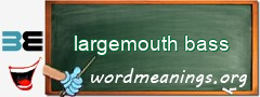 WordMeaning blackboard for largemouth bass